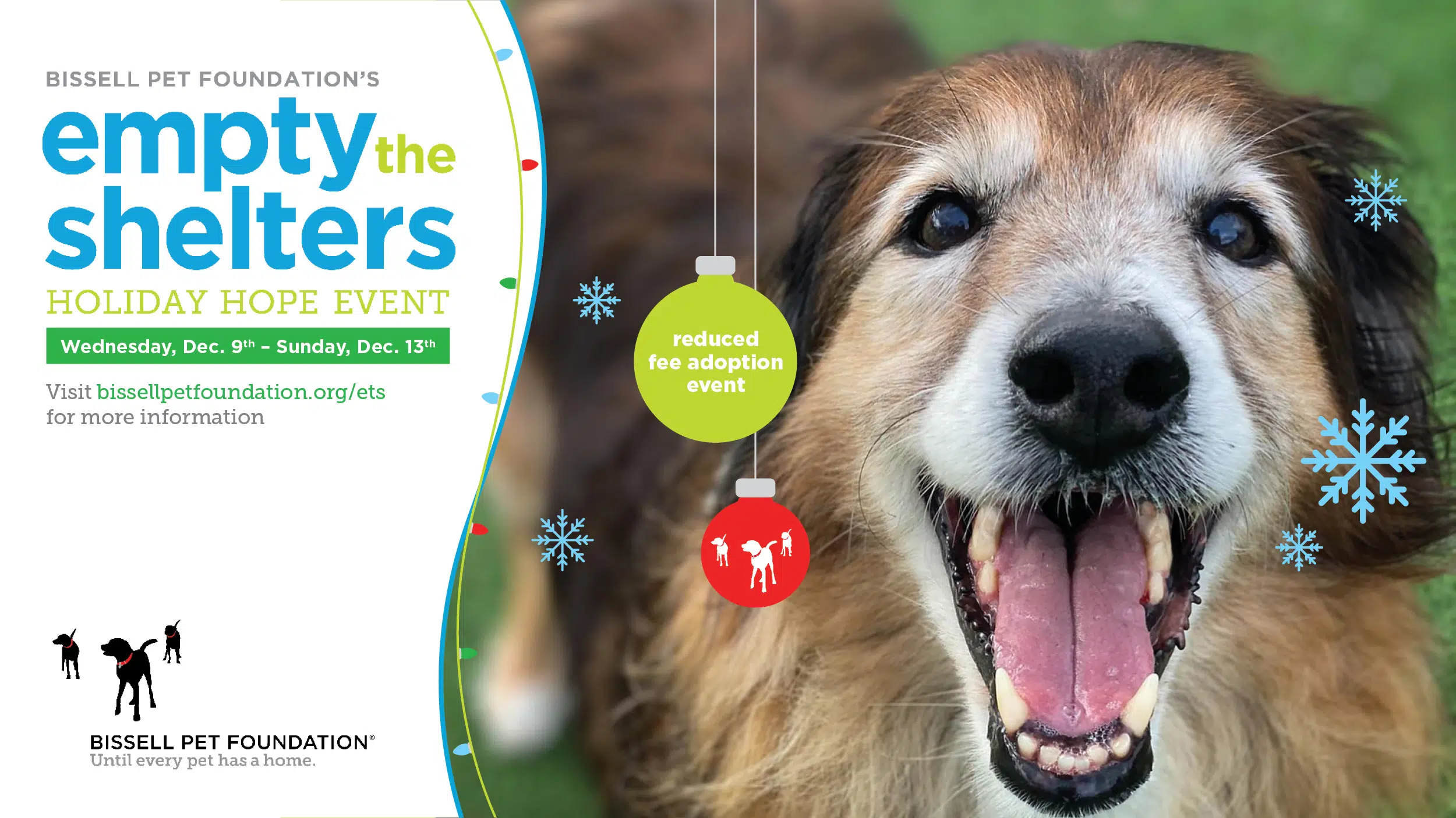 Campaign aims to find homes for shelter pets December 9 – 12 | WKZO |  Everything Kalamazoo | 590 AM ·  FM