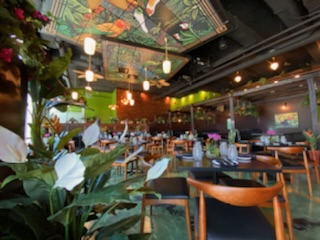 JungleBird announces September 10 opening in downtown Kalamazoo - Vimarsana News