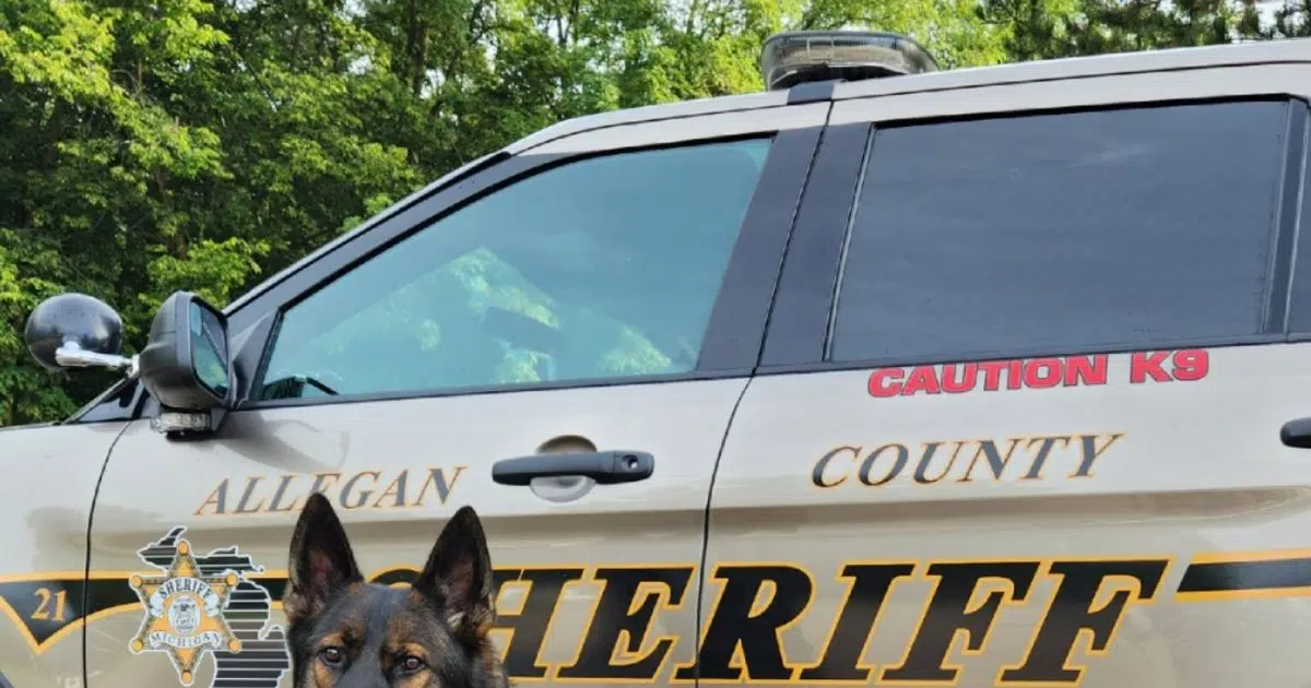 Allegan County Sheriff’s Office K9 Thor wearing body armor thanks to