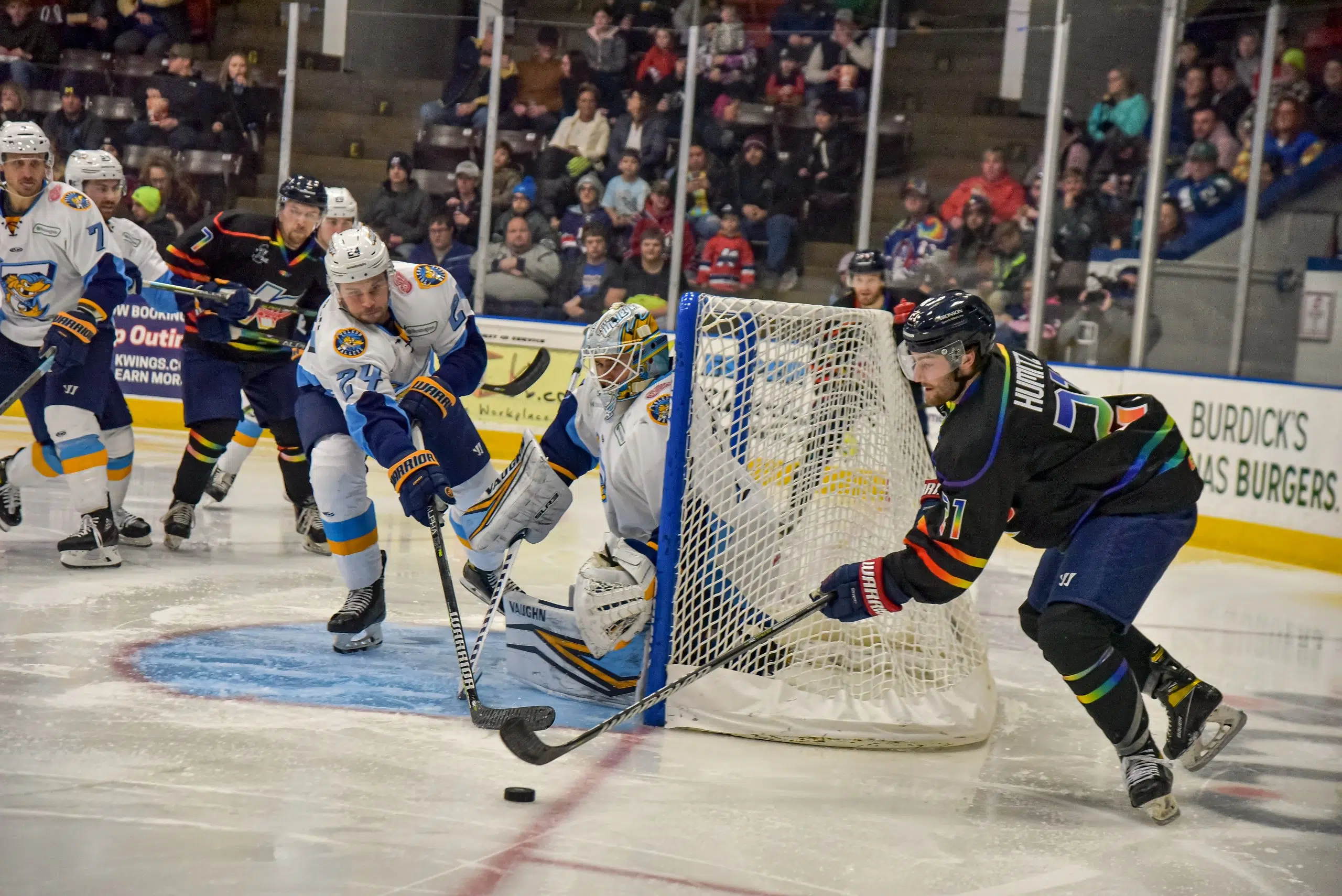 Toledo Walleye  Toledo, OH Professional Hockey