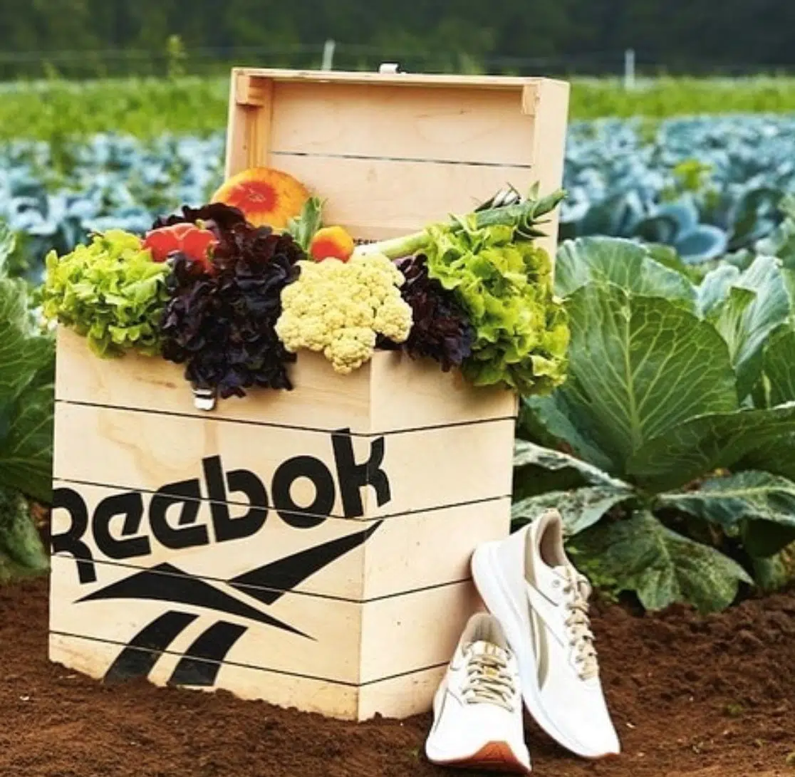 reebok plant based
