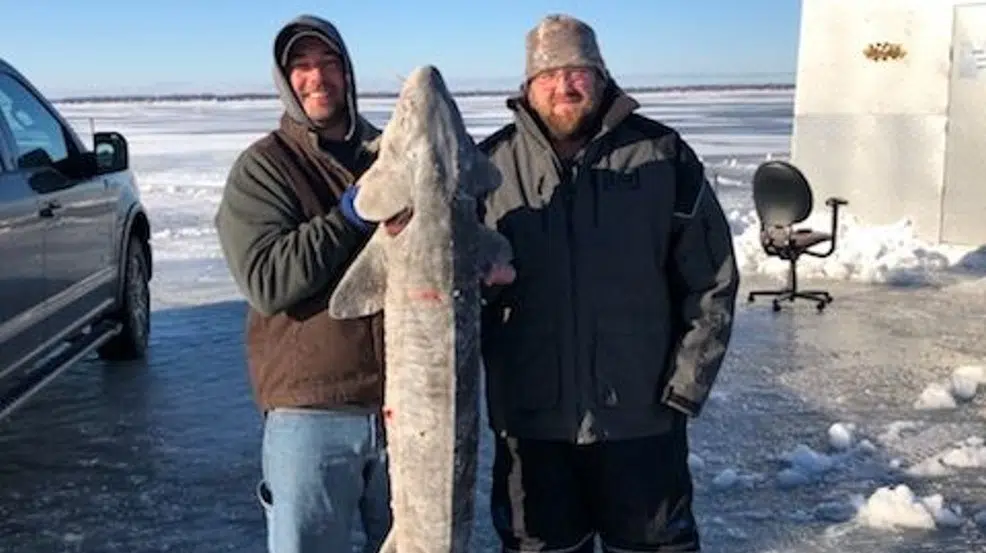 Sturgeon Spearing Season On Lake Winnebago Is Winding Down WTAQ News