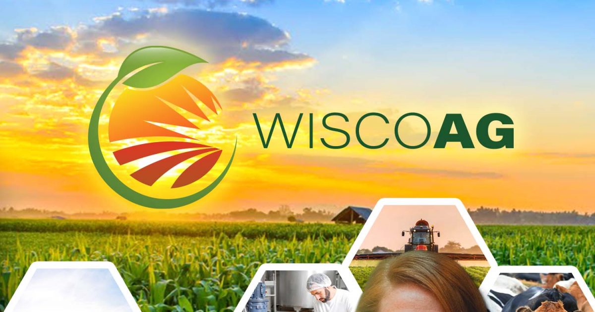 Success in Succession Planning podcast series - Vimarsana News
