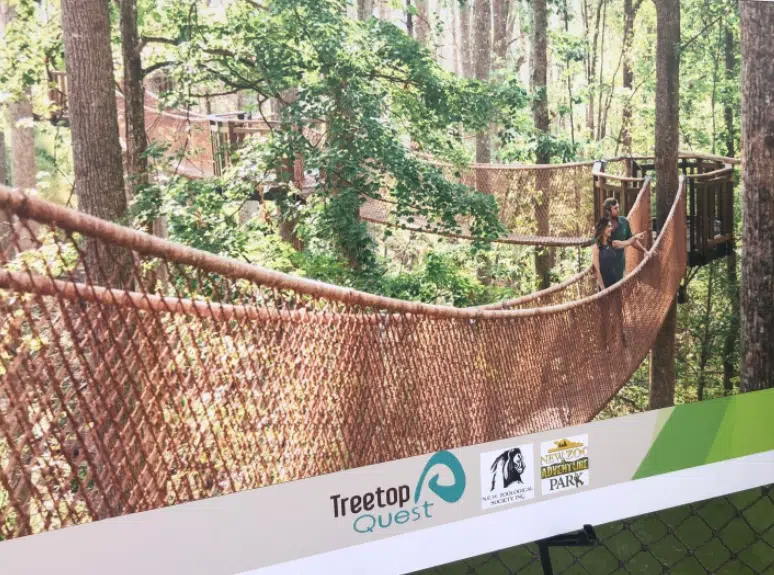 canopy tour new zoo