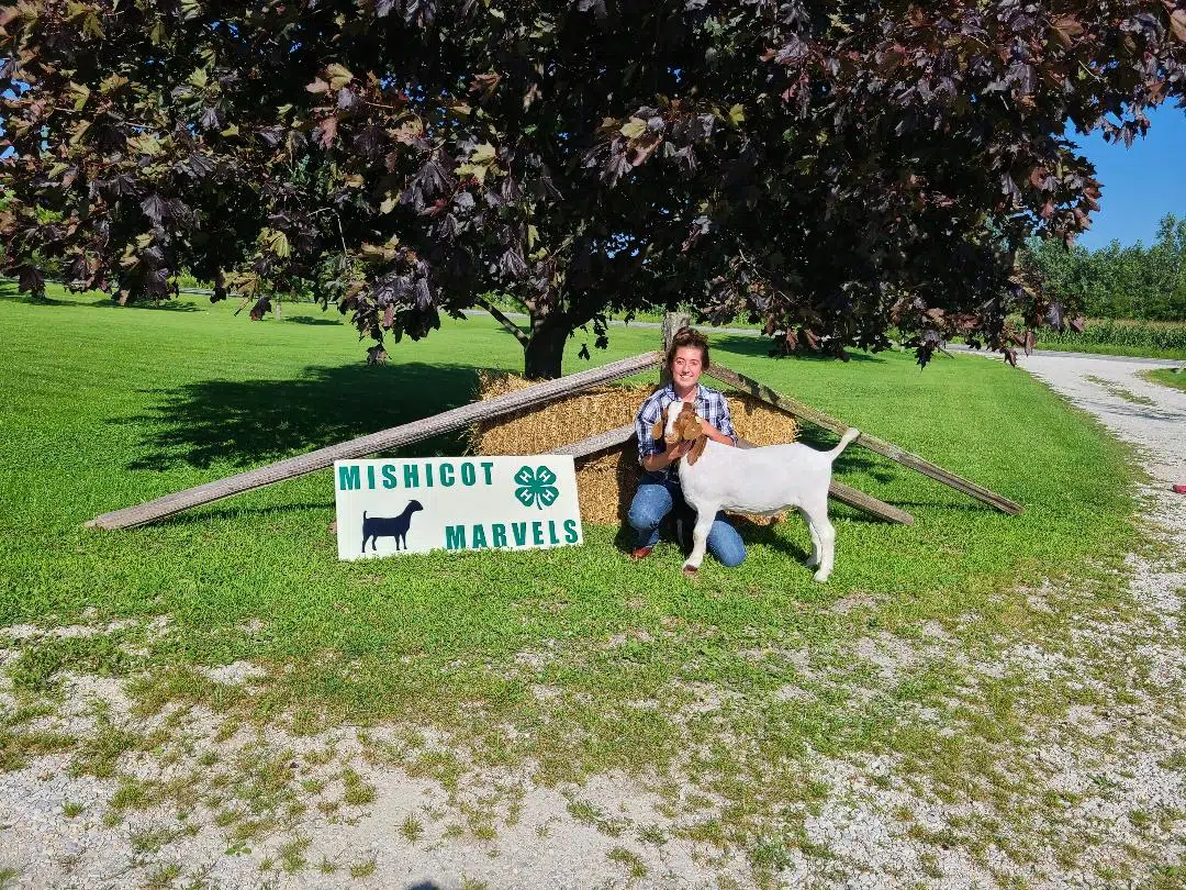 Mishicot FFA student wins the state FFA Goat Production Proficiency