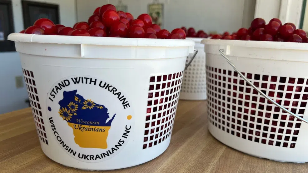 Picking Door County Cherries For A Cause Duke FM Playing the