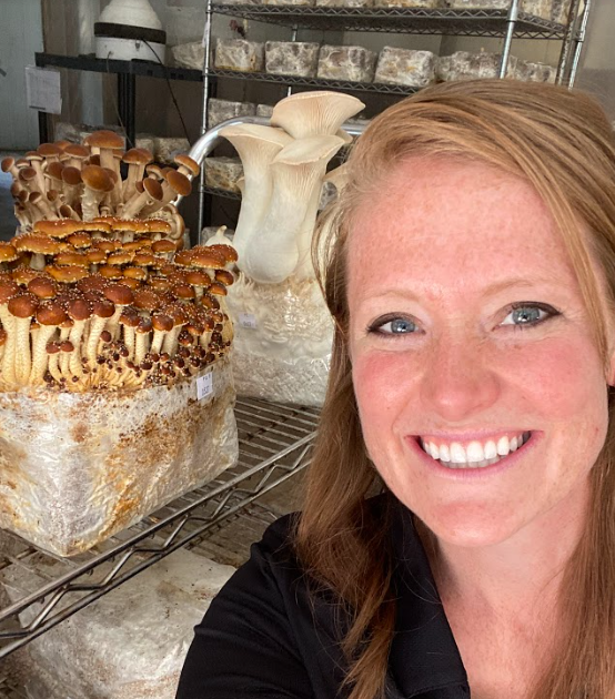 Peshtigo mushroom operation started in 1983 - Vimarsana News