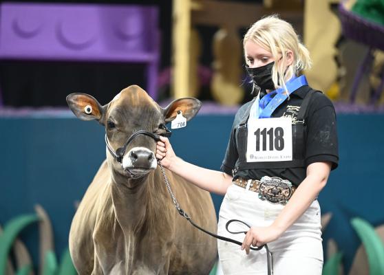 World Dairy Expo Invites Youth to Participate in Fitting, Showmanship Contests - Vimarsana News