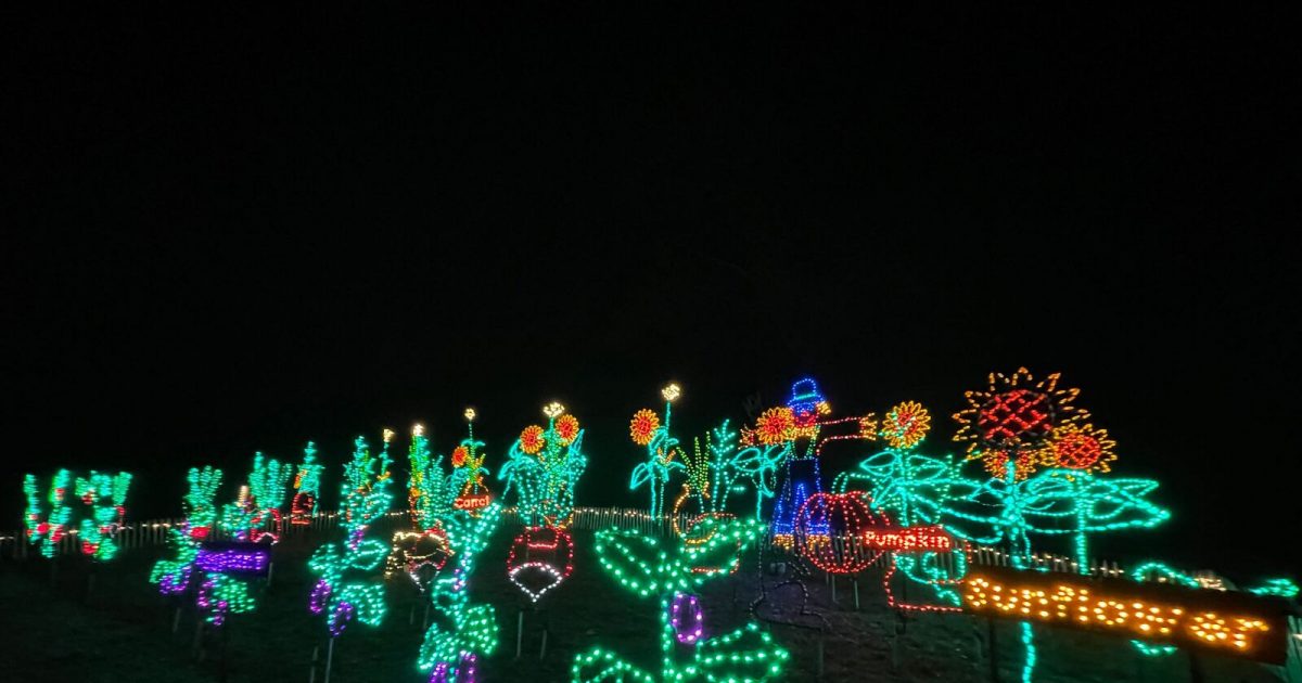 WPS Garden of Lights Coming to Green Bay Botanical Garden - Vimarsana News