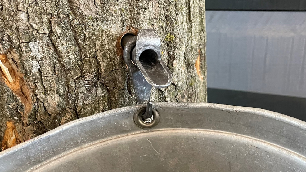 Maple Days Salutes Syrup Industry at Farm Wisconsin Discovery Center - Vimarsana News