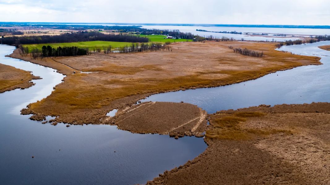 Rat River Bog Blown Out of the Way, Boats can now Access Wolf River - Vimarsana News