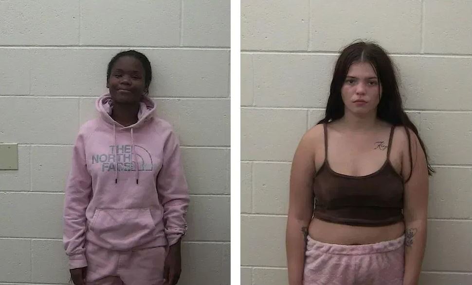 Woman Pleads Not Guilty in Live-Streamed Child Abuse Case - Vimarsana News