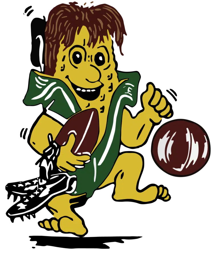 Hoopeston Schools Going RemoteOnly for Two Weeks Vermilion County First