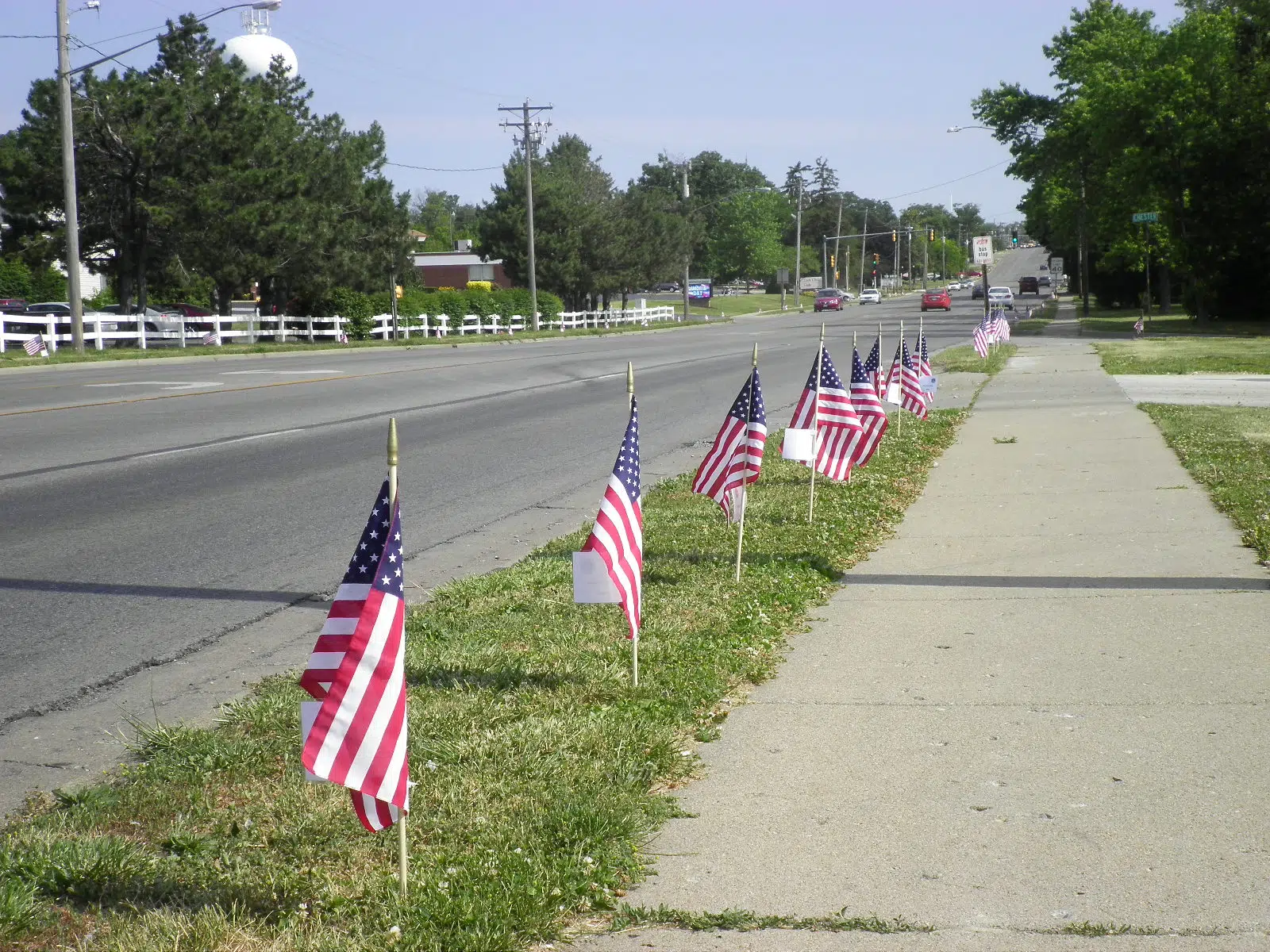 Danville Rotary Club Offering Sponsorships For Memorial Day Weekend Flags Vermilion County First