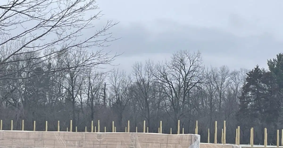 What Happened with True Grit at Vermilion Devonshire? Two Different