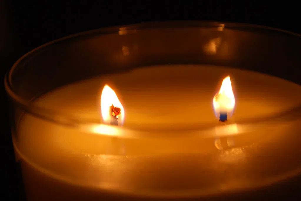 We Spend $221 a Year to Make Our Home Smell Good