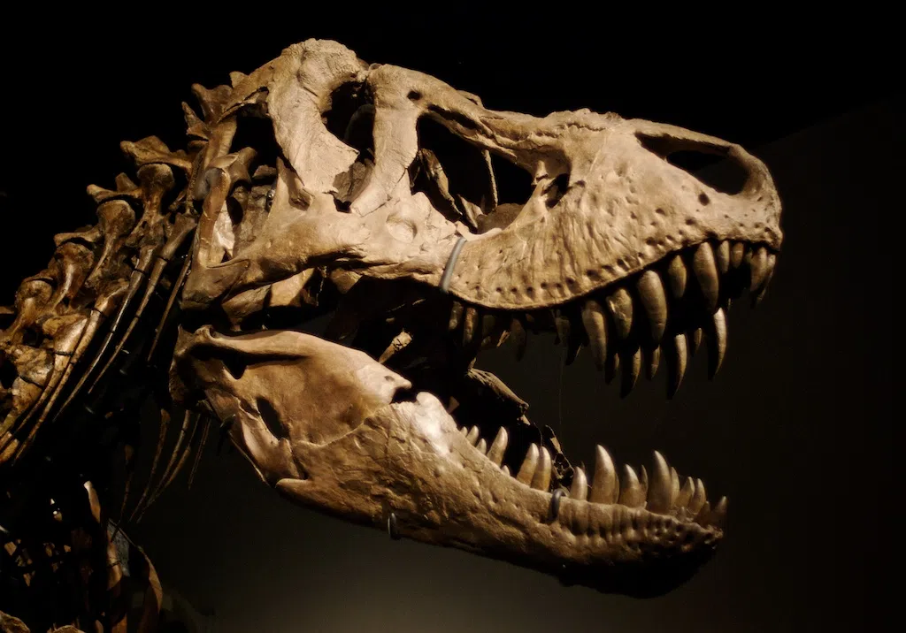 Most Americans Don’t Want Dinosaurs to Come Back from Extinction (???)