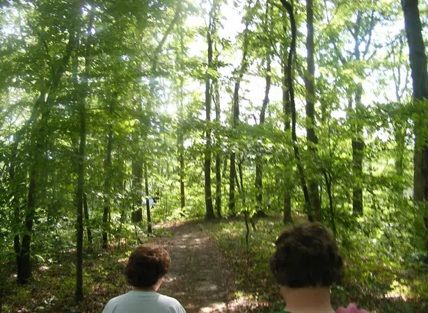 The Average Person Thinks They Could Survive 16 Days in the Wilderness