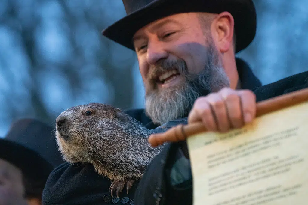 50 Unbelievable Facts About Groundhog Day Ultimate Guide 2024