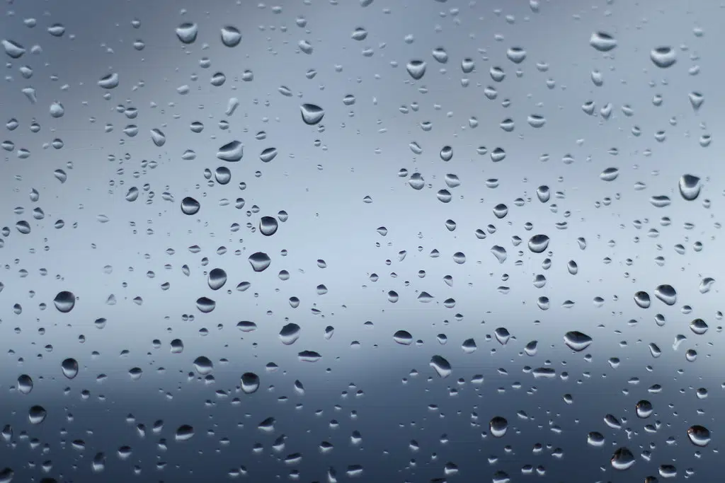 Heavy Rain Expected In Grey Bruce Monday