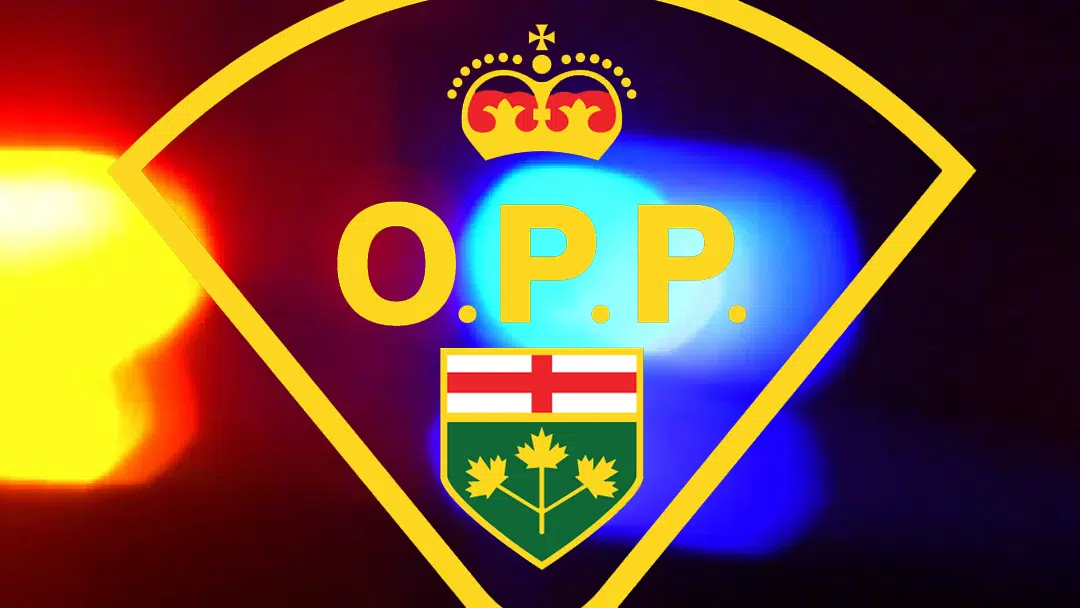 Over 200 Charges Laid During South Bruce OPP Road Safety Campaign