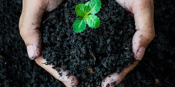 Free Compost Giveaway In Gravenhurst, Huntsville And Lake Of Bays