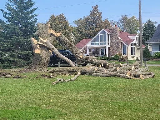 Port Elgin North Shore Park Closed For Tree Cleanup