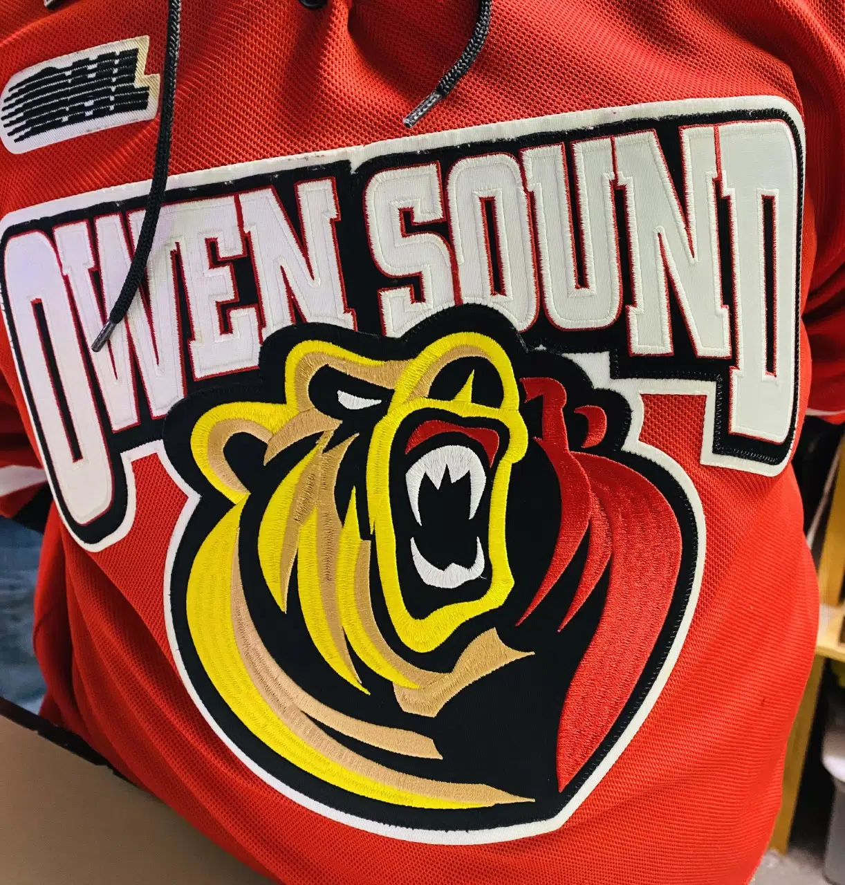 Preseason Schedule sees Bears with Four Tune-up Games - Owen Sound