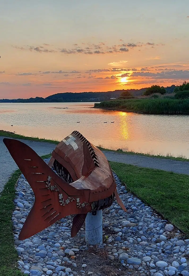 Owen Sound Formalizes Kelso Beach At Nawash Park Name