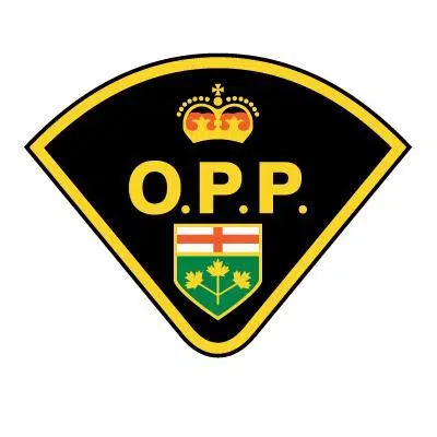 Fatal Collision In Southern Bruce County
