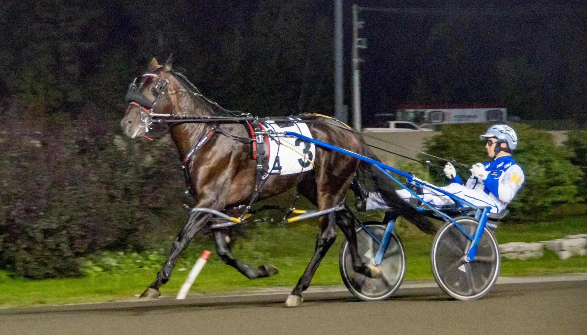 LandMark 16. Interview with Howard Pearce of LandMark Stables