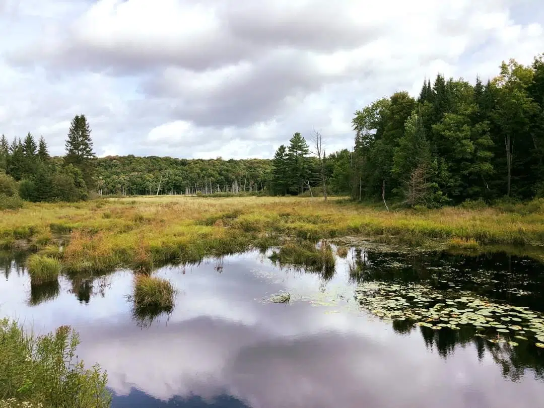 Muskoka Conservancy Gifted Lake Rosseau Headwaters