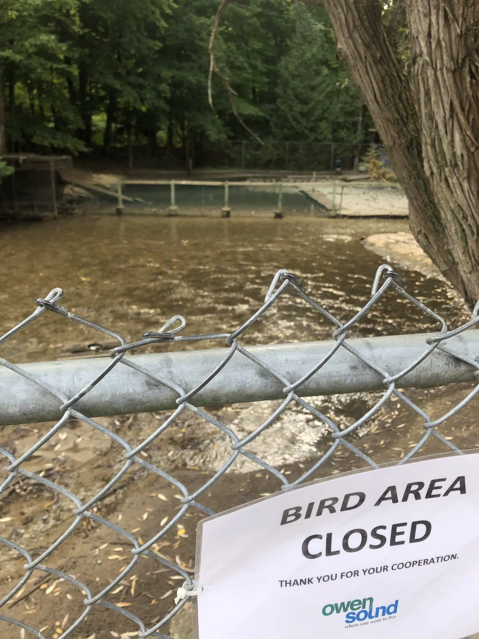 Local Resident Starts GoFundMe To Help Replace Harrison Park Birds