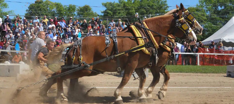 Fall Fair Time In Orillia