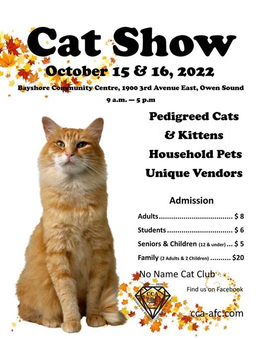 Cat Show In Owen Sound This Weekend