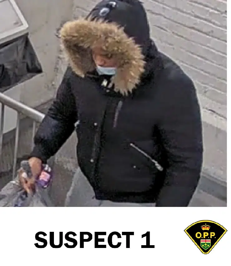 Orillia OPP Charge Woman In Connection With Elnaz Hajtamiri Kidnapping Case