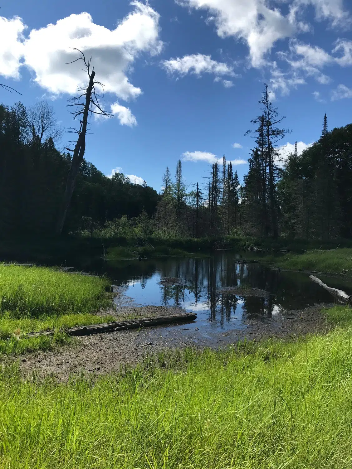 Haliburton Forest site first of its kind to be recognized in new conservation category