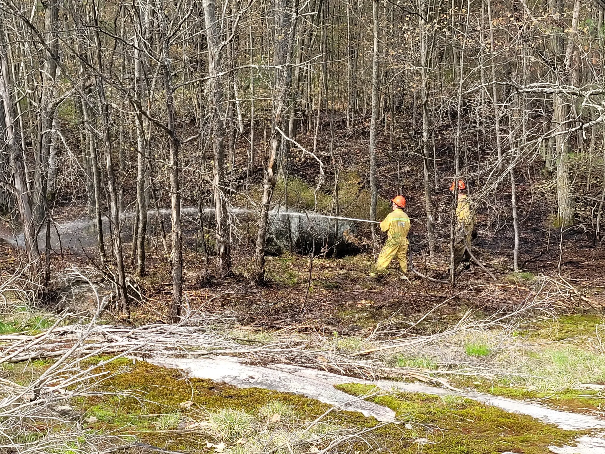 Brush Fire In Gravenhurst