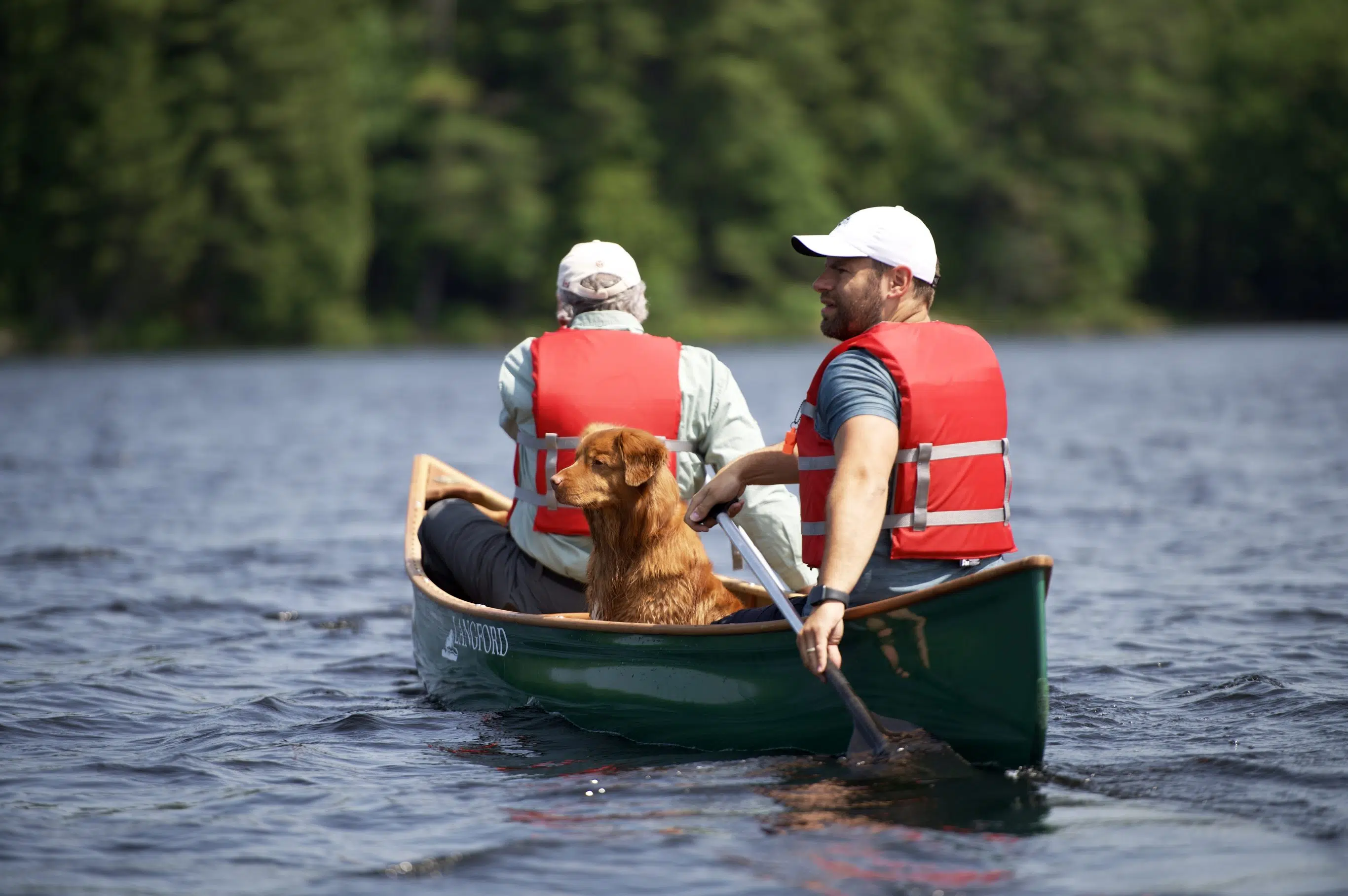 Ontario Unveils Location of First New Operating Provincial Park in 40 Years Near Bracebridge