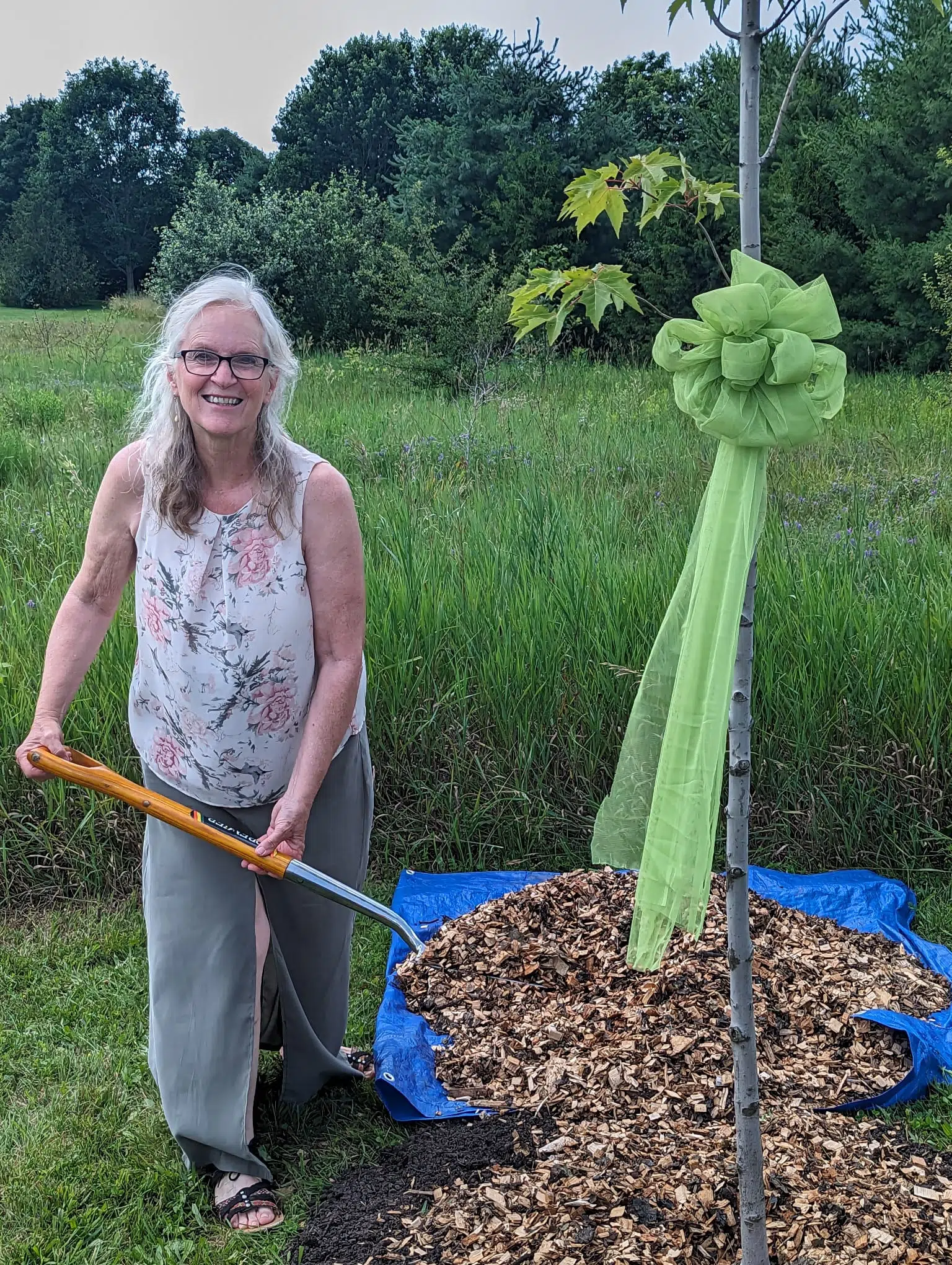 Grey Sauble Conservation Authority Fulfills Dream At Inglis Falls