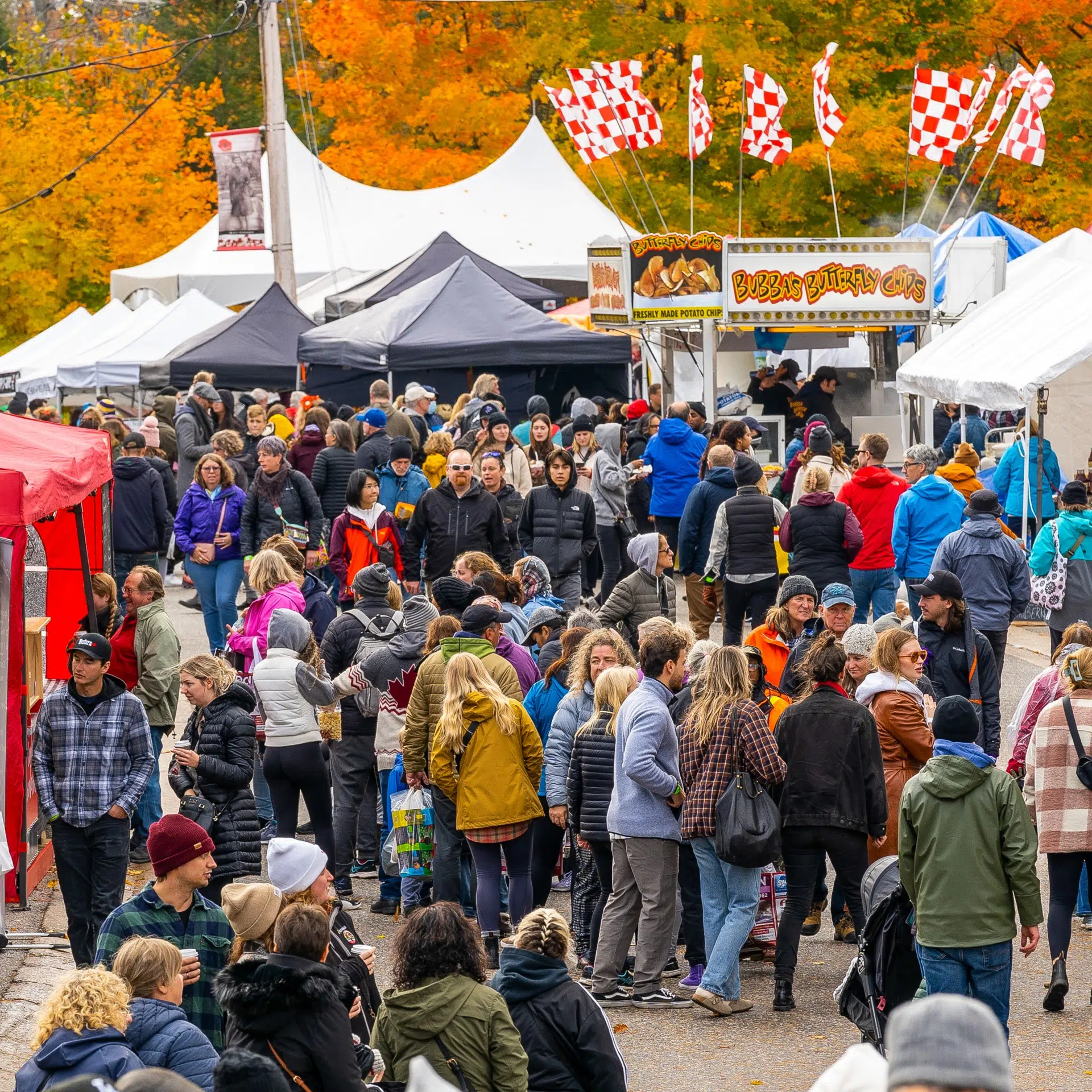 Bala Cranberry Festival Returns October 13-15