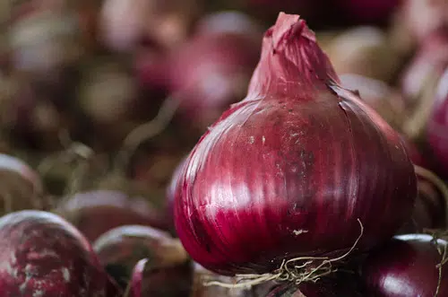 Red Onions Distributed by Sysco Recalled in Some Provinces