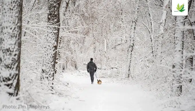 Nature Helping Mental Health During Pandemic