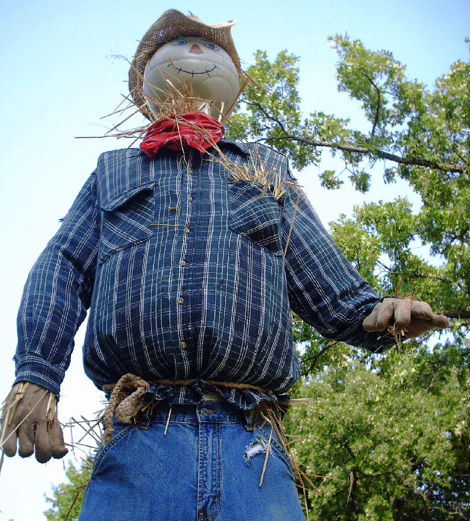 Meaford Scarecrow Invasion Returns Celebrating 25 Years | Bayshore ...