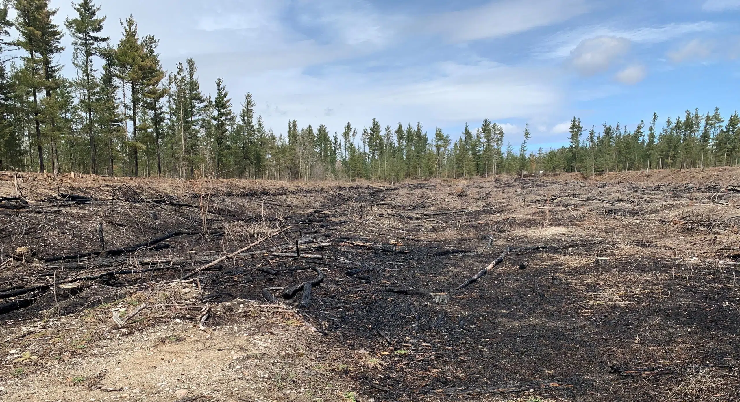 Controlled Burn in Simcoe County