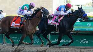 Derby DQ ? | Bayshore Broadcasting News Centre - Vimarsana News