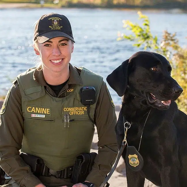 Ontario Hiring More Conservation Officers