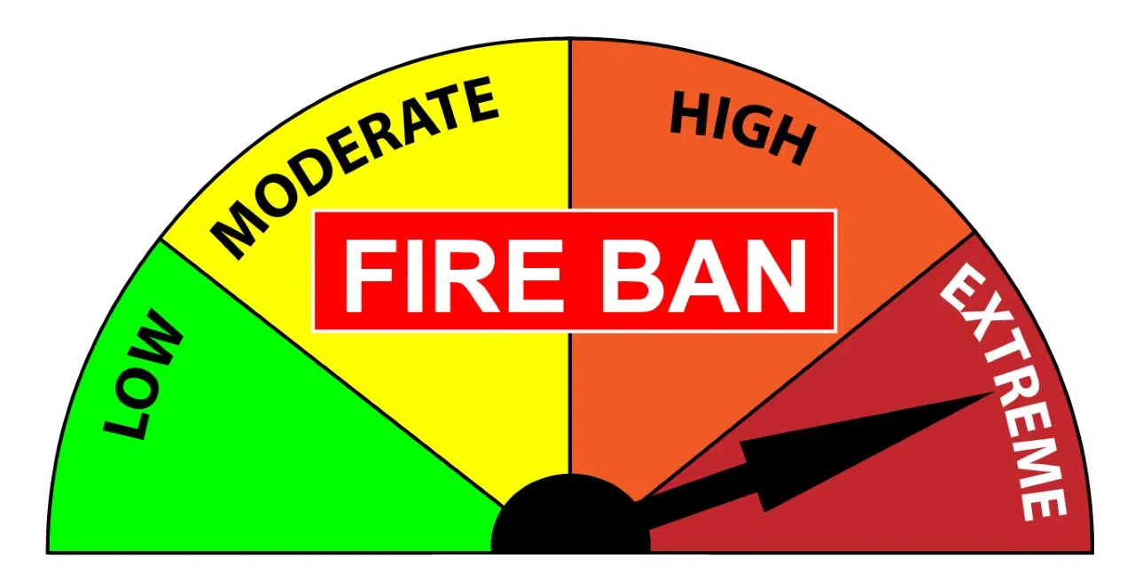 Muskoka Fire Danger Rating Set At Extreme