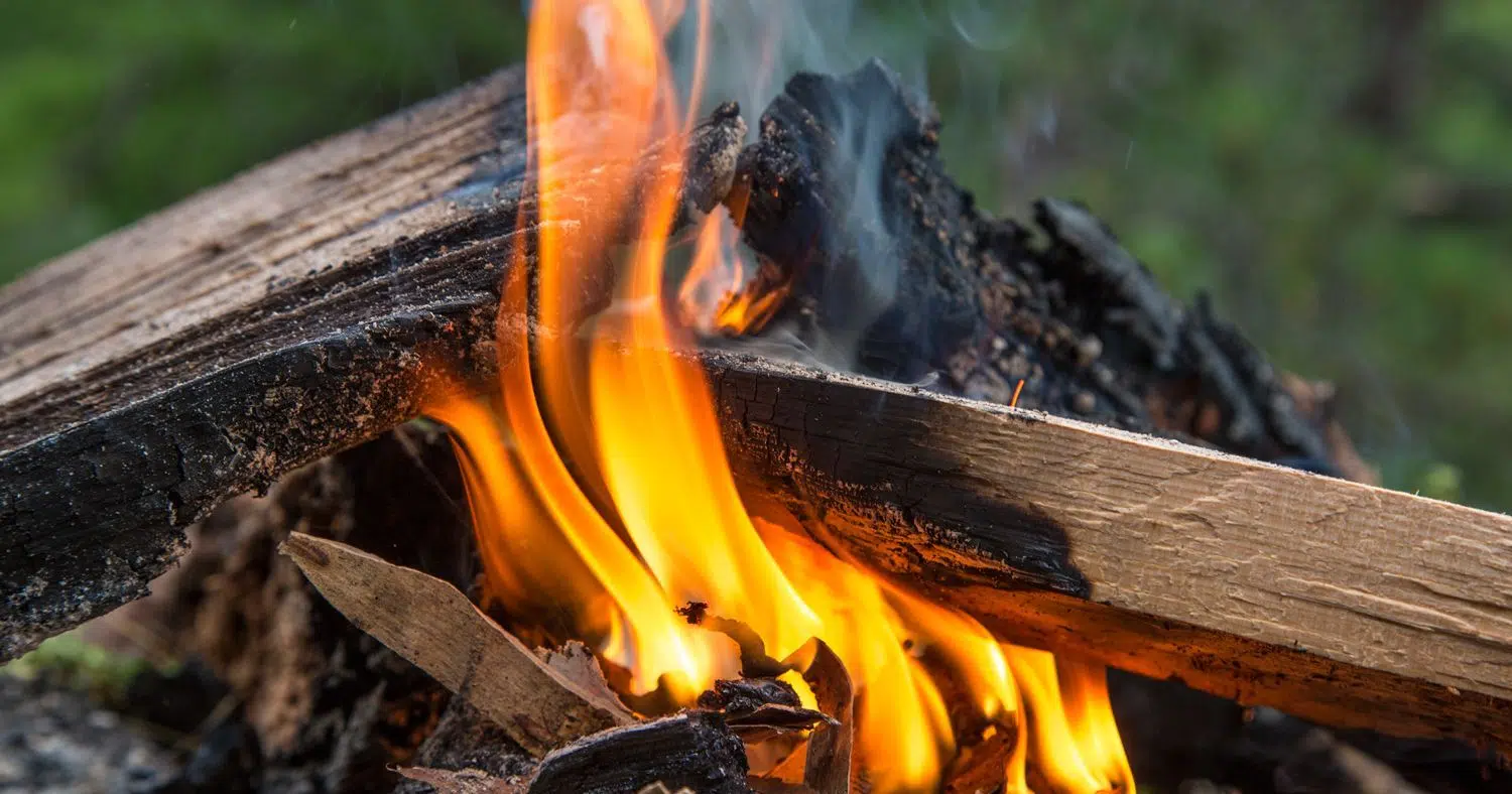 Fire Ban Lifted At Algonquin Park