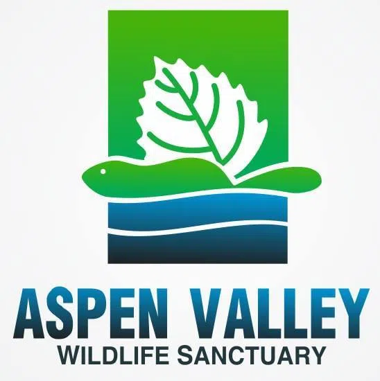 aspen-valley-wildlife-sanctuary-urges-you-to-not-feed-wildlife